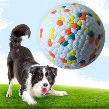 Bite Resistant Dog Ball: Durable Fetch for Power Chewers